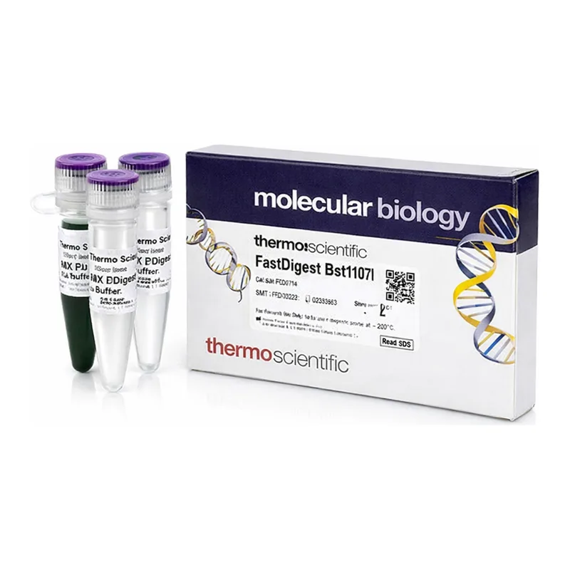 Thermo Fisher Scientific FastDigest Bst1107I