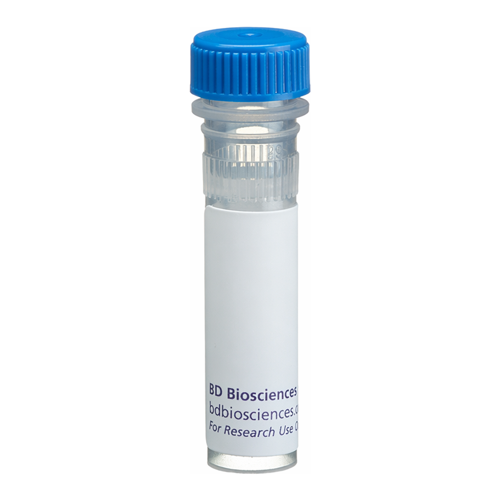 BD Purified Mouse Anti-Human PU.1