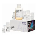Thermo Fisher Scientific Click-iT EdU Alexa Fluor 647 Flow Cytometry Assay Kit, 100 assays