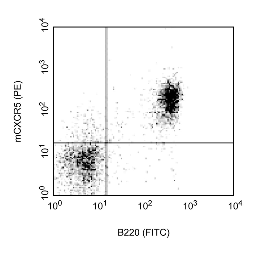 BD Biotin Rat Anti-Mouse CD185 (CXCR5)