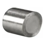 Waters Symmetry Silica C8 Prep Guard Cartridge, 100Å, 5 µm, 7.8 mm X 10 mm, 1/pk