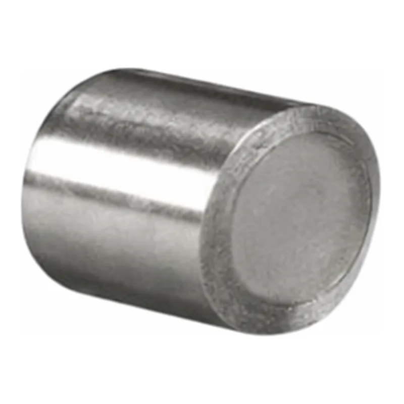 Waters Symmetry Silica C8 Prep Guard Cartridge, 100Å, 5 µm, 7.8 mm X 10 mm, 1/pk
