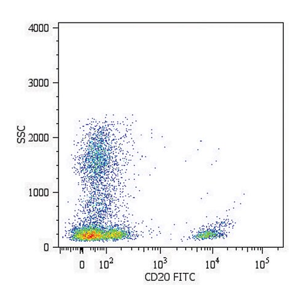 Merck Monoclonal Anti-CD20-FITC antibody produced in mouse
