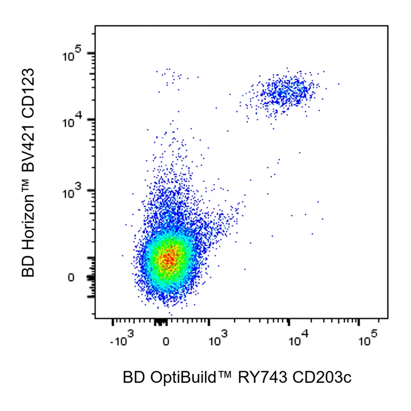BD RY743 Mouse Anti-Human CD203c