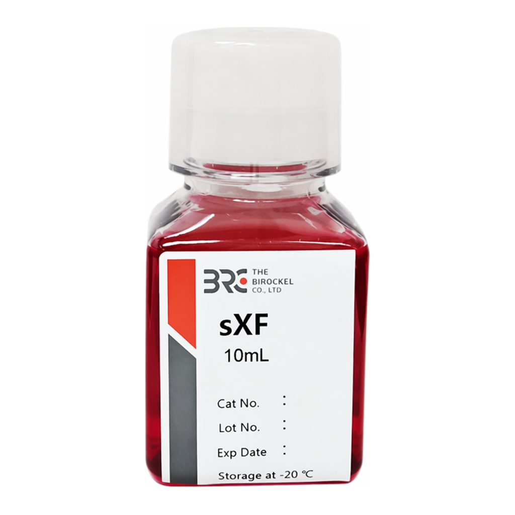 THE BIROCELL sXF / 성체줄기세포 연구용 무혈청 배지 첨가물