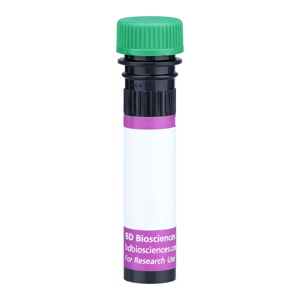 BD BV480 Rat Anti-Human CAT1 (SLC7A1)