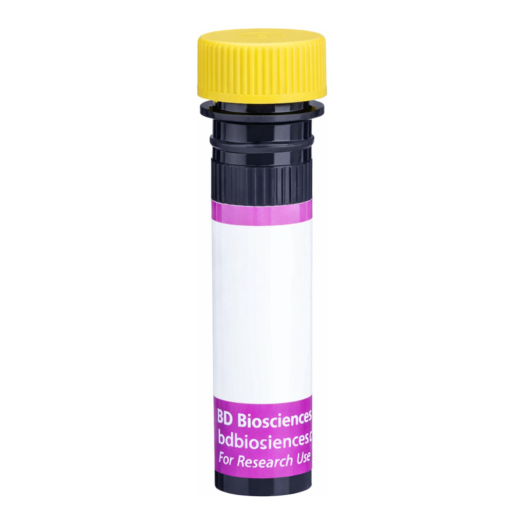 BD BV650 Mouse Anti-Rat RP-1 Antigen