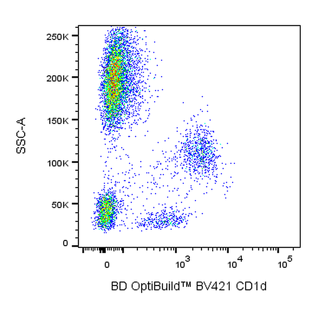 BD BV421 Mouse Anti-Human CD1d