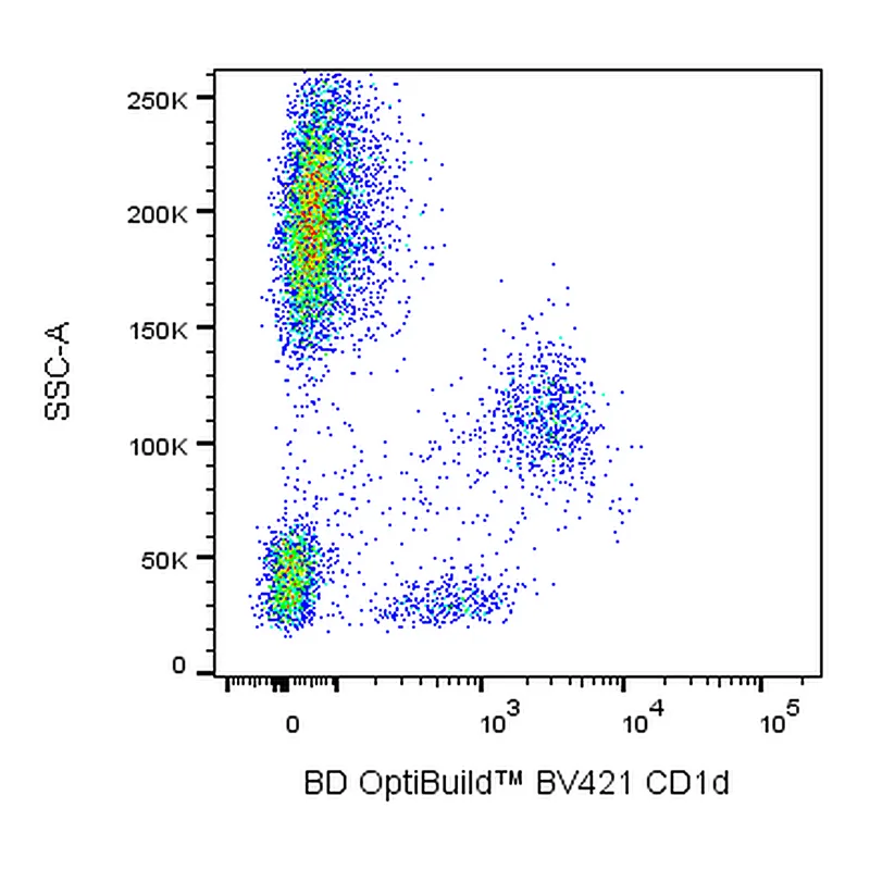 BD BV421 Mouse Anti-Human CD1d