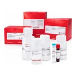 Merck ALPHA-GLUCOSIDASE ACTIVITY ASSAY KIT