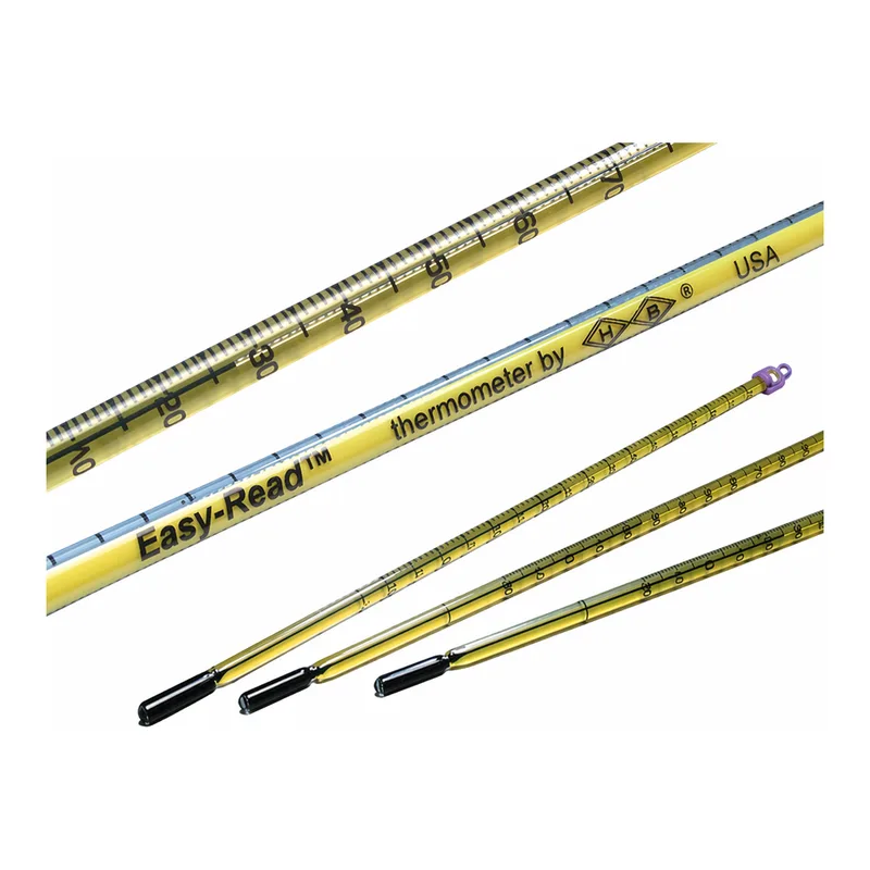 Merck Easy-Read(R) thermometer