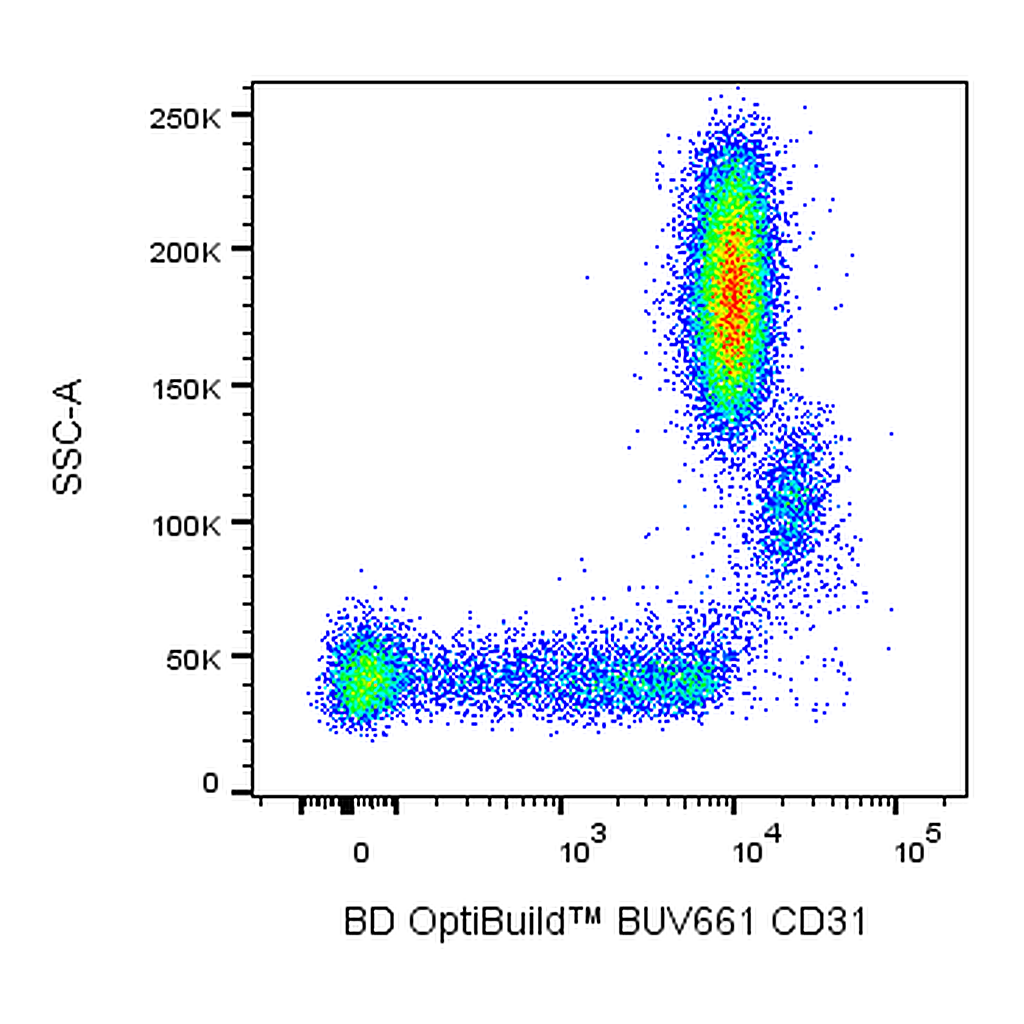 BD BUV661 Mouse Anti-Human CD31