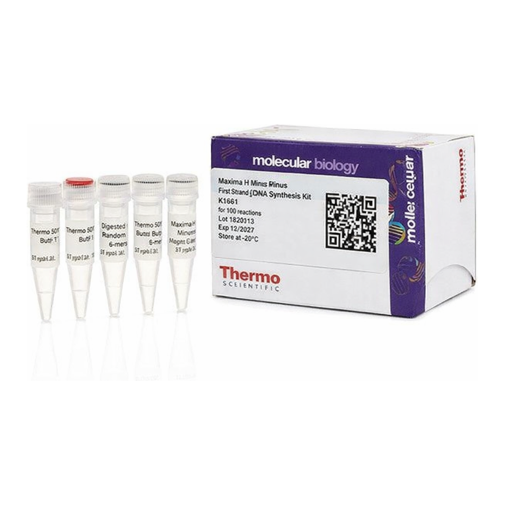 Thermo Fisher Scientific Maxima H Minus First Strand cDNA Synthesis Kit, Each