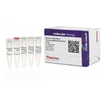 Thermo Fisher Scientific Maxima H Minus First Strand cDNA Synthesis Kit, Each