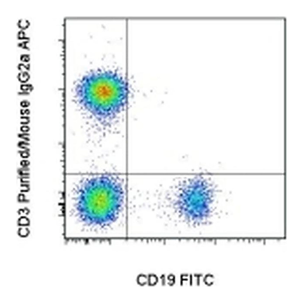 Thermo Fisher Scientific Rat anti-Mouse IgG2a Secondary Antibody, APC, eBioscience
