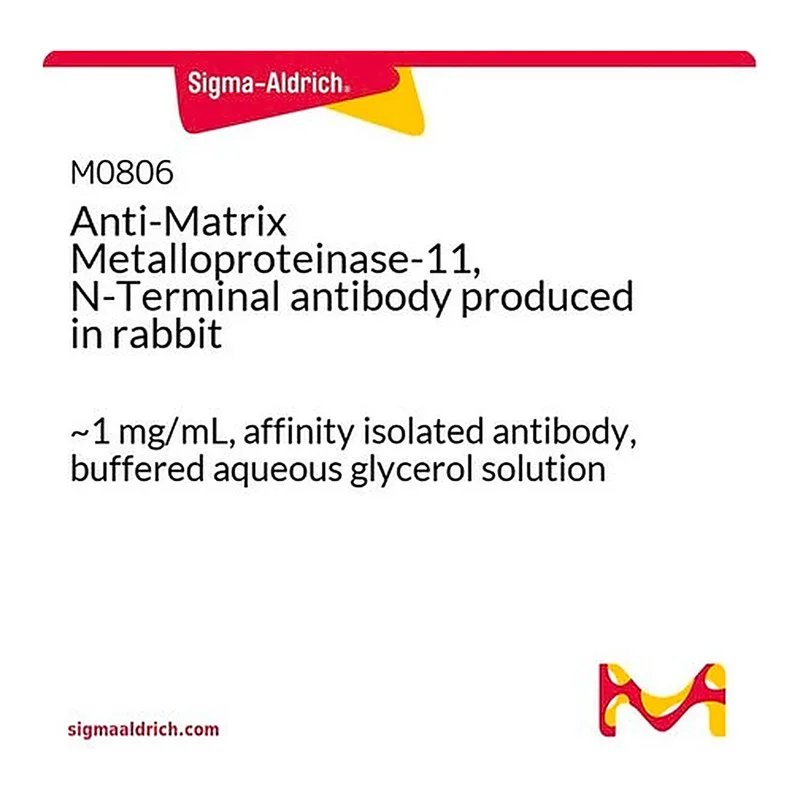 Merck Anti-Matrix Metalloproteinase-11, N-Terminal antibody produced in rabbit