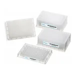 Thermo Fisher Scientific 96-웰 마이크로플레이트, 1.6mL, 정사각형 8mm 직경, U-모양 바닥; 10개로 구성된 팩