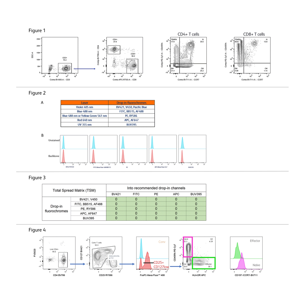 BD Human T Cell Backbone Panel Kit
