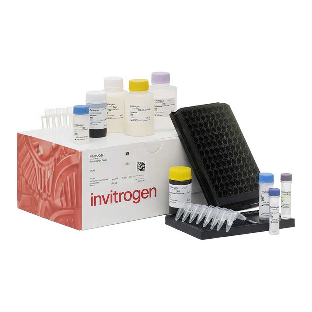Thermo Fisher Scientific ProcartaPlex Human Immune Monitoring Panel for MAGPIX, 65plex