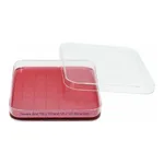 Daihan Science Square Grid 100×100 and 125×125 Sterile Petri Dish, PS<br>Made of Crystal Clear