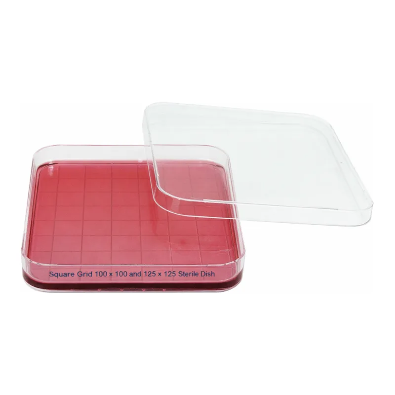 Daihan Science Square Grid 100×100 and 125×125 Sterile Petri Dish, PS<br>Made of Crystal Clear