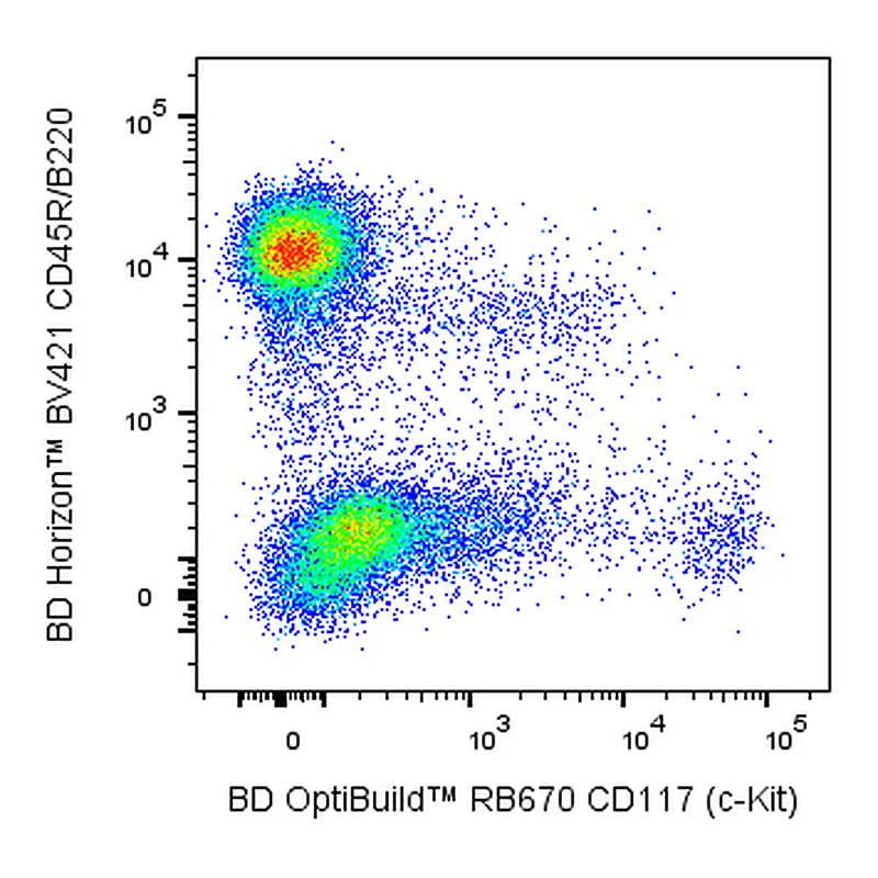 BD RB670 Rat Anti-Mouse CD117 (c-Kit)