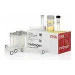 Thermo Fisher Scientific One Shot INVαF` Chemically Competent E. coli