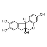Merck BRAZILIN