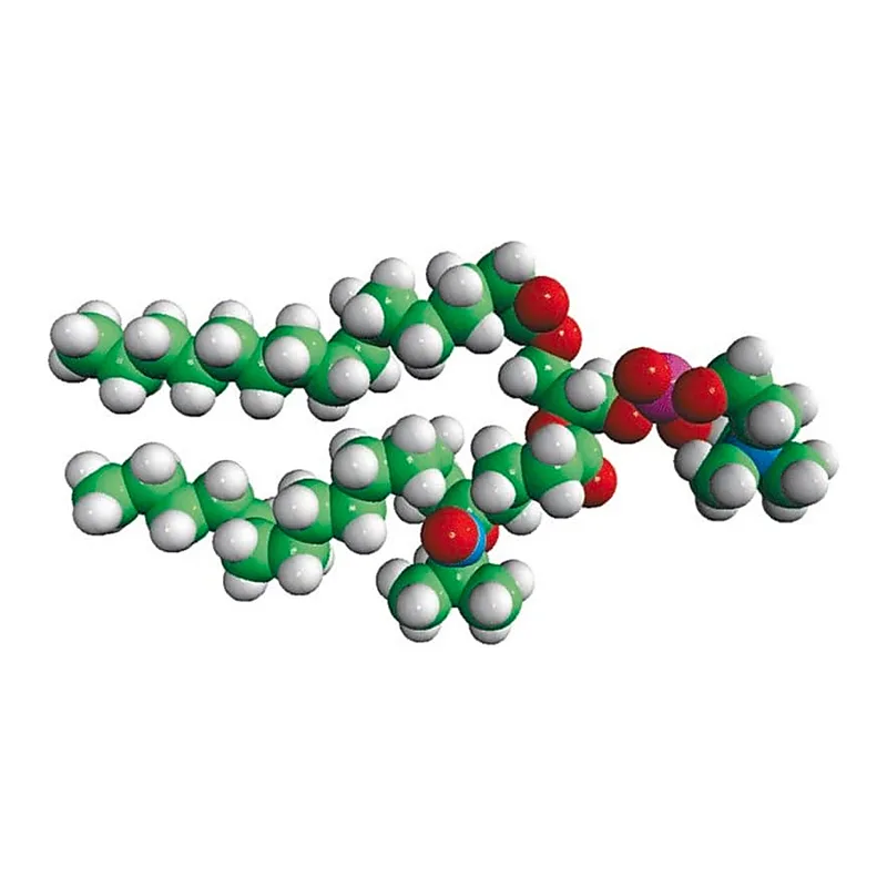 Merck 16:0-5 Doxyl PC