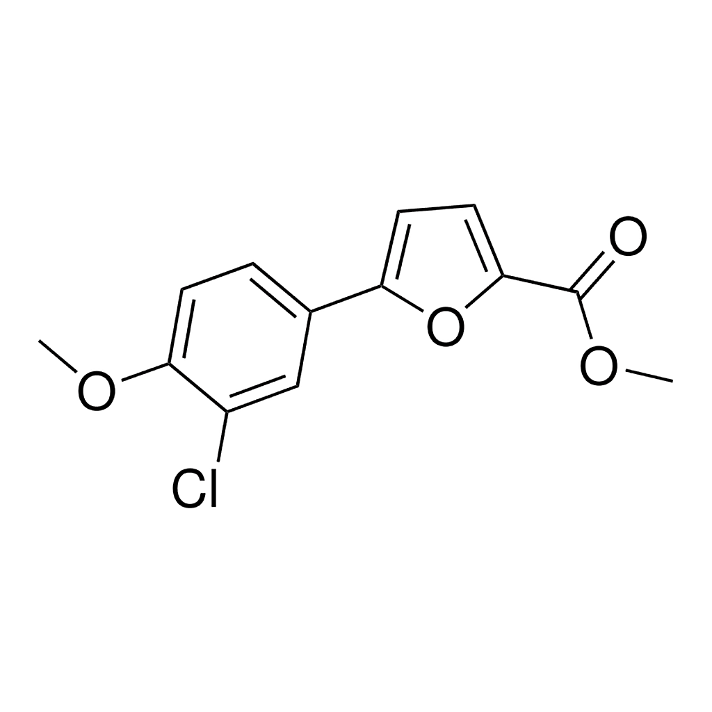 Merck METHYL 5-(3-CHLORO-4-METHOXYPHENYL