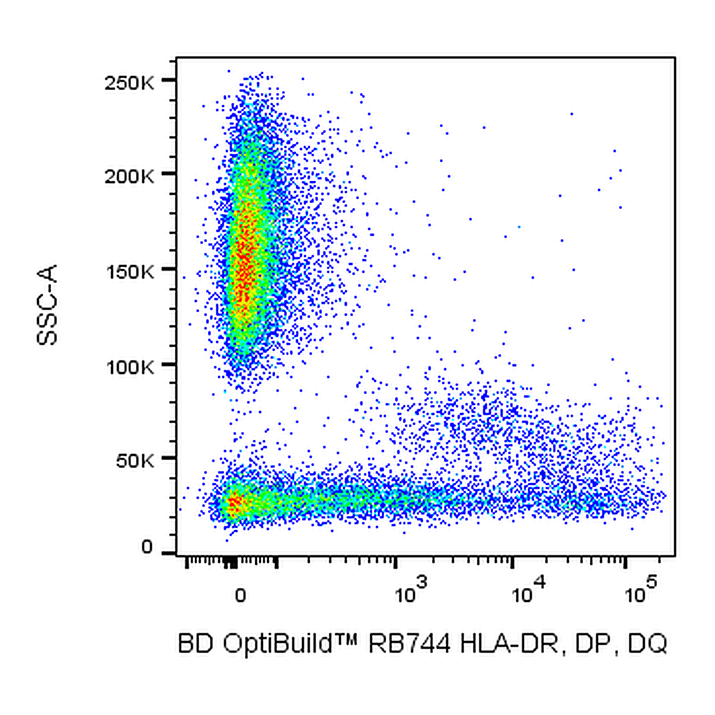 BD RB744 Mouse Anti-Human HLA-DR, DP, DQ