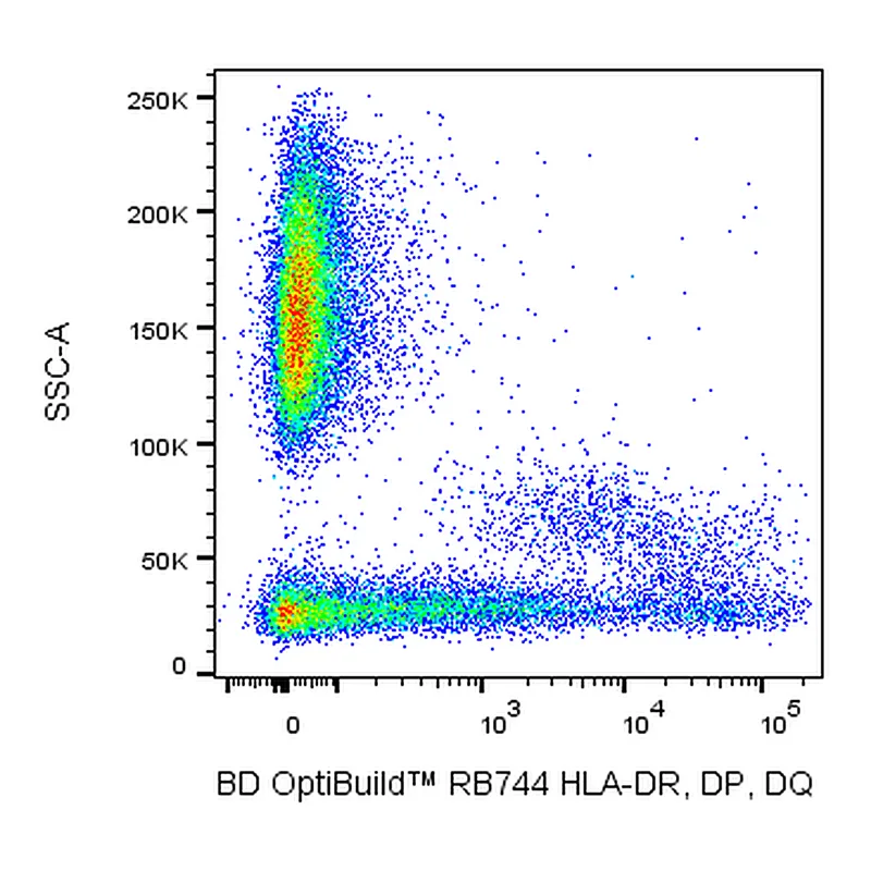 BD RB744 Mouse Anti-Human HLA-DR, DP, DQ