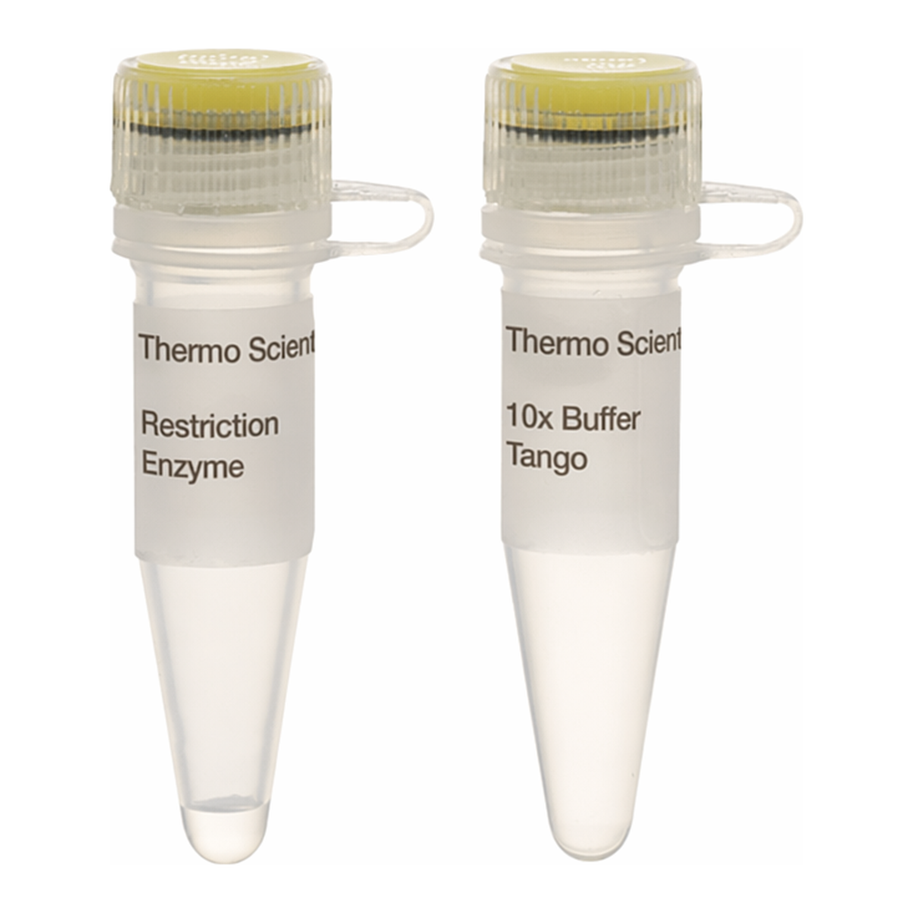 Thermo Fisher Scientific PdiI (NaeI) (10 U/&mu;L), 200 units