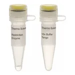 Thermo Fisher Scientific PdiI (NaeI) (10 U/μL), 200 units