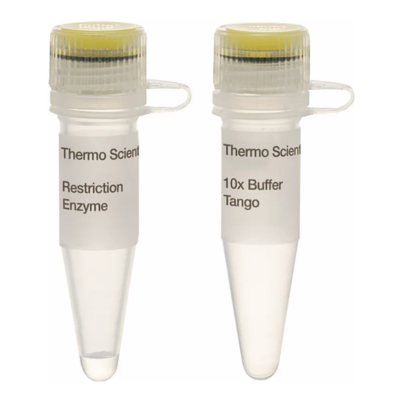 Thermo Fisher Scientific PdiI (NaeI) (10 U/μL), 200 units