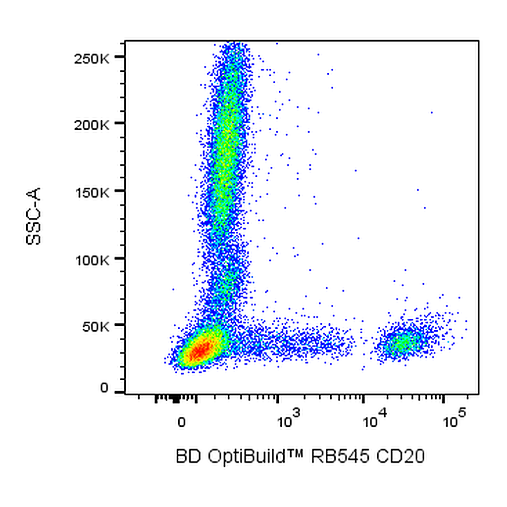 BD RB545 Mouse Anti-Human CD20