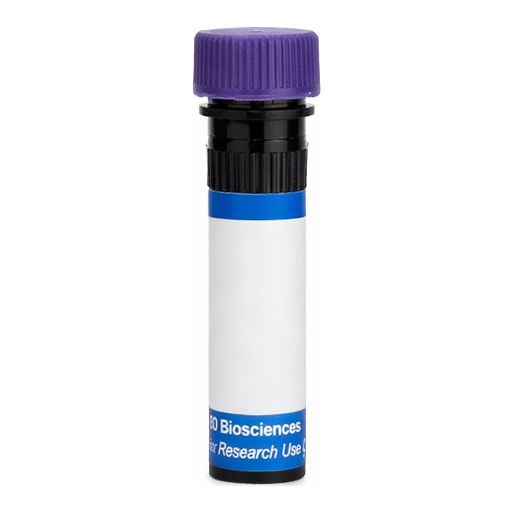 BD RB744 Mouse Anti-Human PSMA