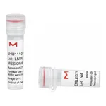 Merck MISSION(R) esiRNA