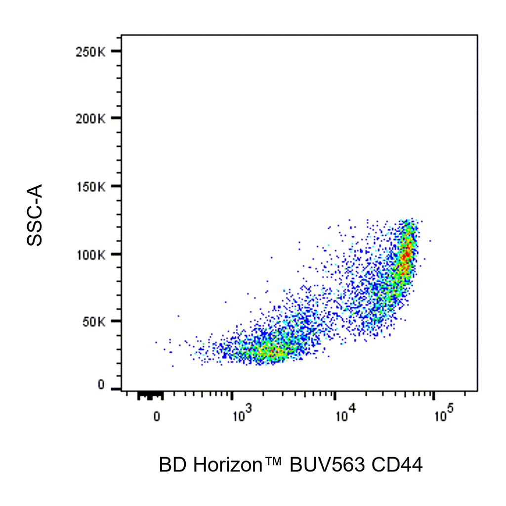 BD BUV563 Rat Anti-Mouse CD44