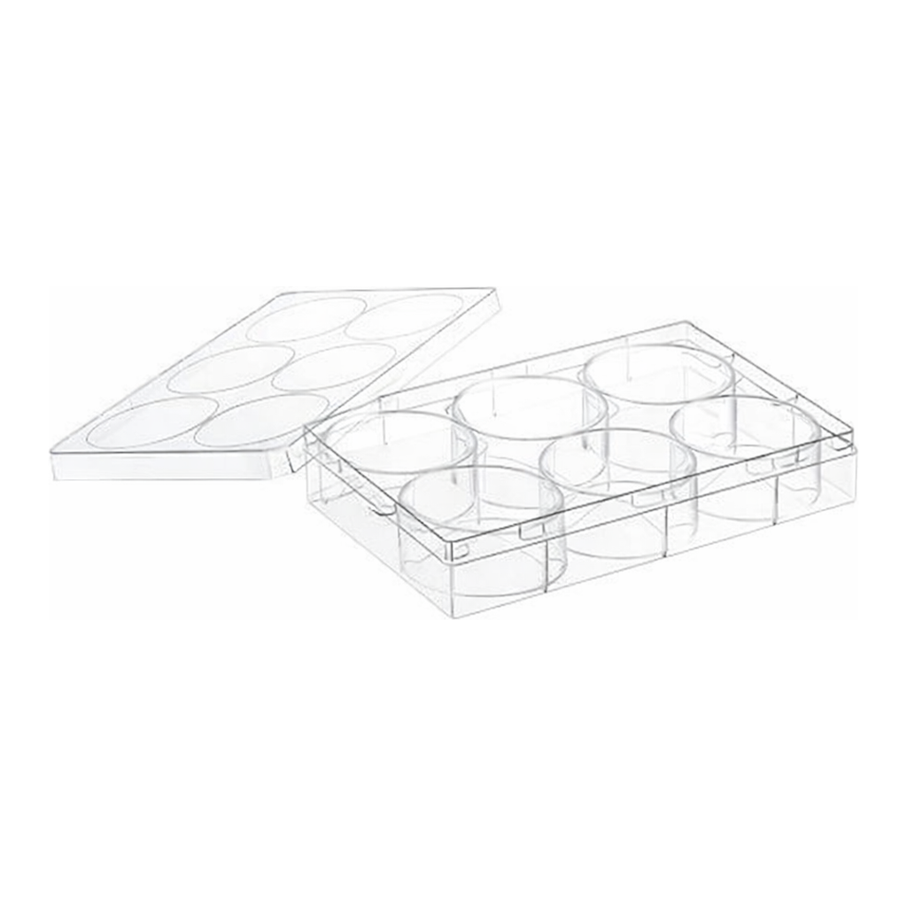 Greiner Bio One CELL CULTURE MULTIWELL PLATE, 6 WELL, PS, CLEAR,CELLCOAT®, COLLAGEN TYPE I, LID WITH CONDENSATION RINGS, 5 PCS./BAG