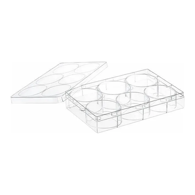 Greiner Bio One CELL CULTURE MULTIWELL PLATE, 6 WELL, PS, CLEAR,CELLCOAT®, COLLAGEN TYPE I, LID WITH CONDENSATION RINGS, 5 PCS./BAG