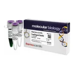 Thermo Fisher Scientific FastDigest BshNI