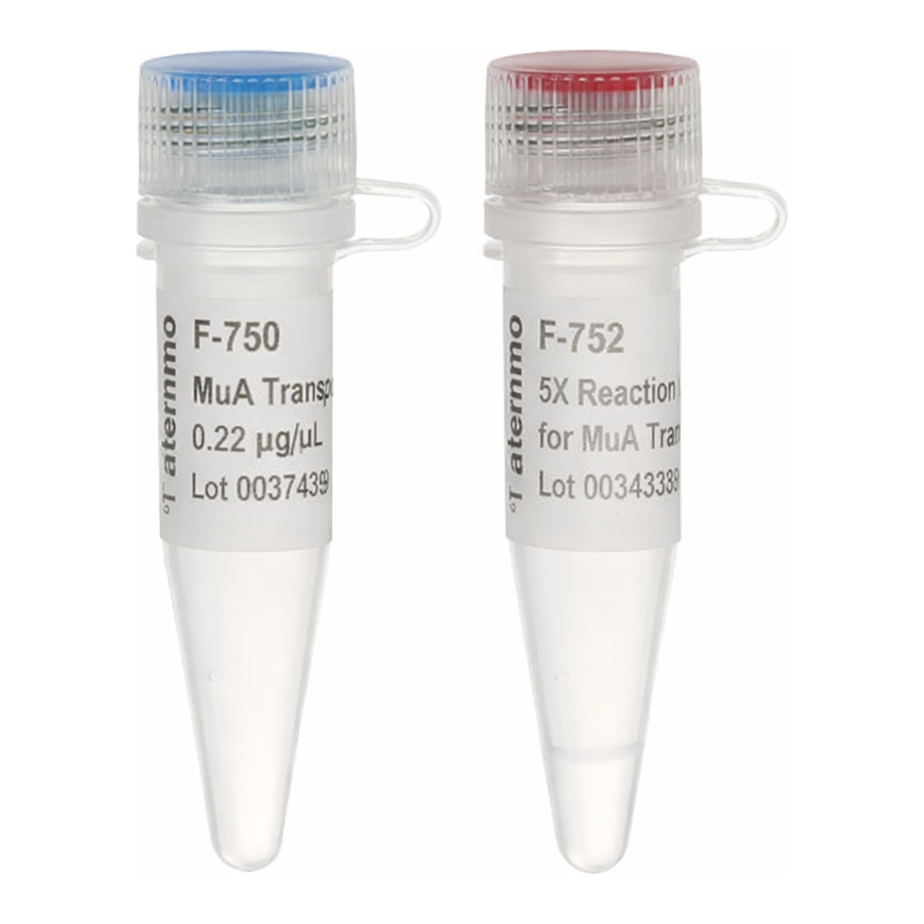 Thermo Fisher Scientific MuA Transposase
