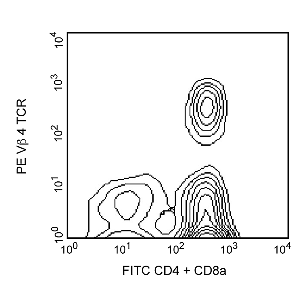 BD PE Rat Anti-Mouse Vβ4 T-Cell Receptor