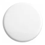 Waters PTFE CR Solvent Filter, 47 mm, 0.2 µm, 100/pk