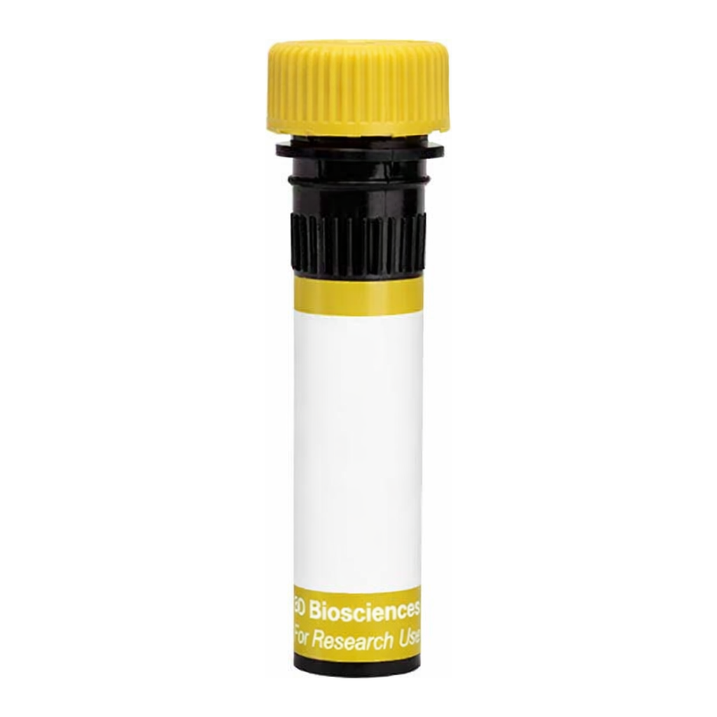BD RY586 Mouse Anti-Human Podoplanin
