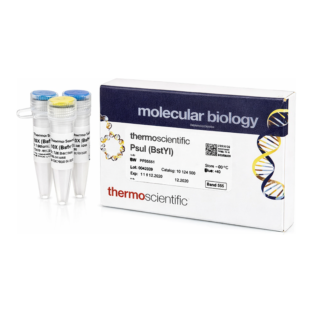 Thermo Fisher Scientific PsuI (BstYI) (10 U/&mu;L)
