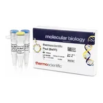 Thermo Fisher Scientific PsuI (BstYI) (10 U/μL)