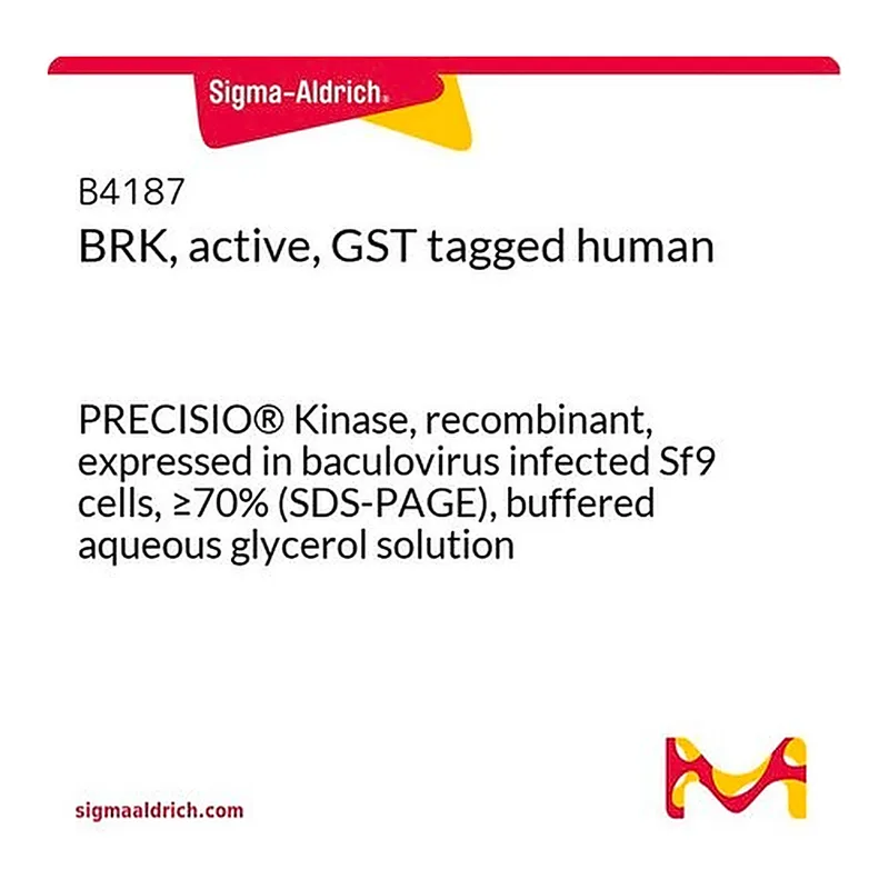 Merck BRK, active, GST tagged human