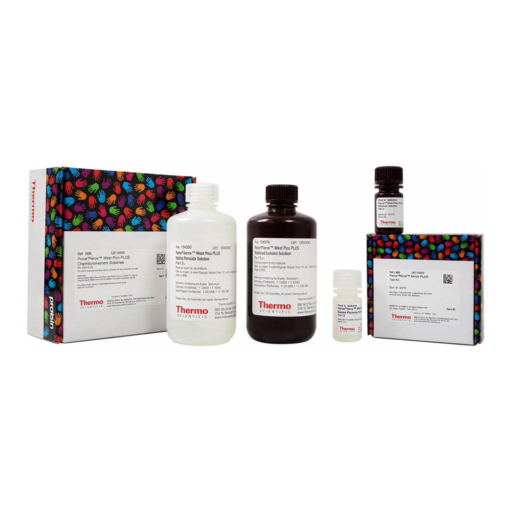 Thermo Fisher Scientific SuperSignal Western Blot Substrate Bundle, Pico PLUS + trial-size Atto